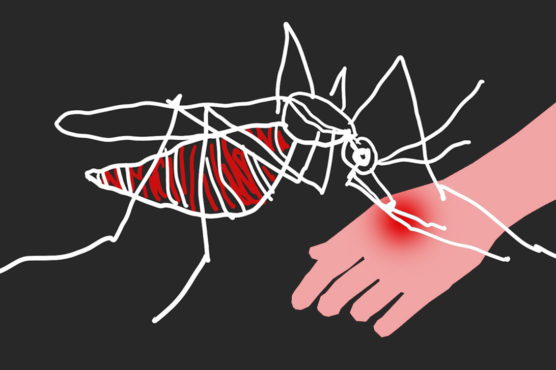 ডেঙ্গু কি একাধিকবার হতে পারে, জ্বর ছাড়াও কী উপসর্গ দেখা যাচ্ছে এবার