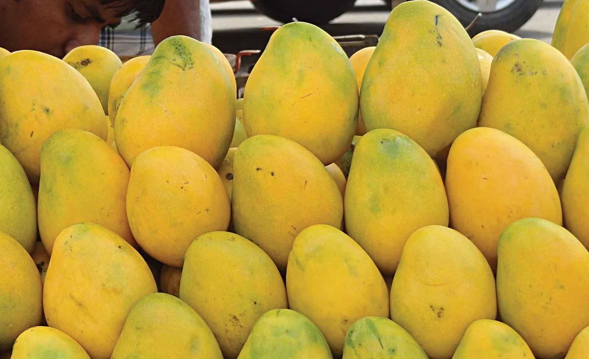 আম কখন খাওয়া ভালো, ডায়াবেটিস রোগীরা কি আম খেতে পারবেন