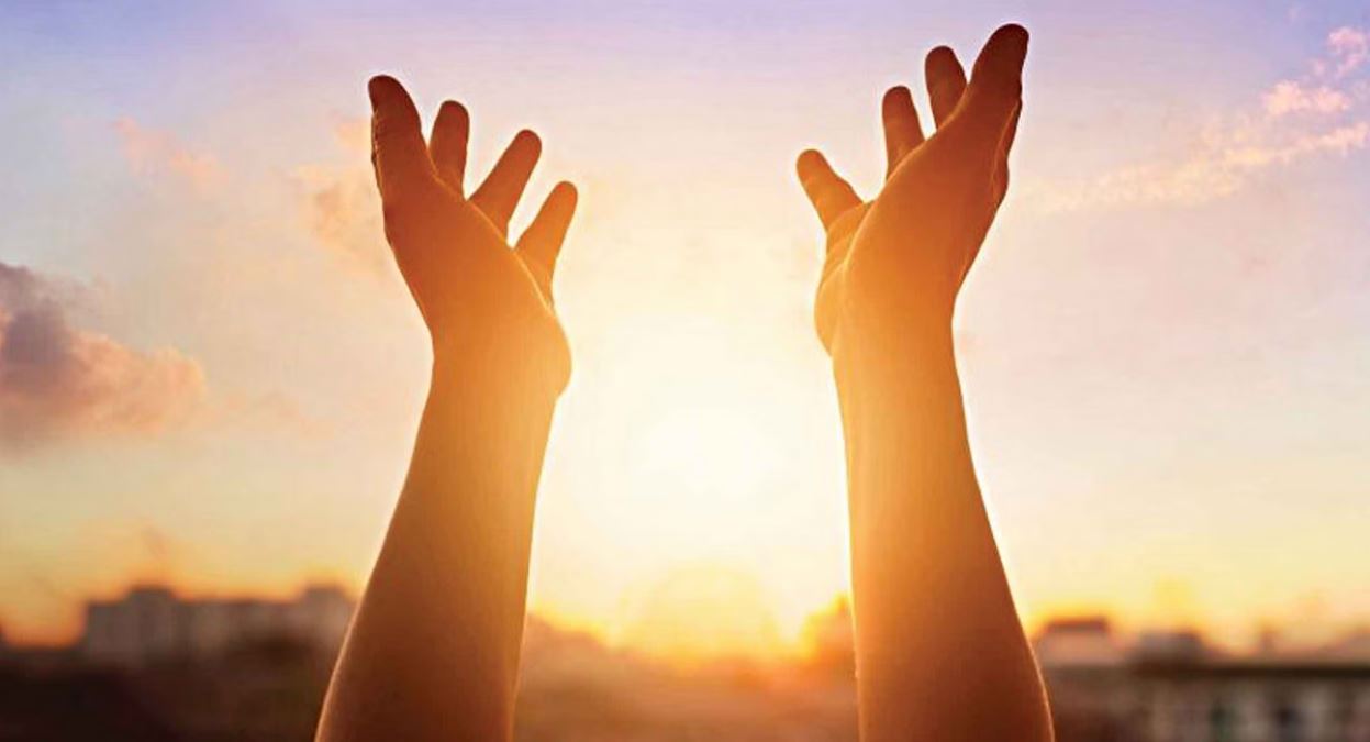 ভিটামিন ডি পাবেন কোন সময়ের রোদে