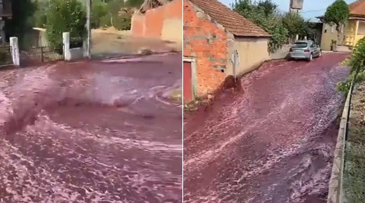 পর্তুগালের সড়কে রেড ওয়াইন ‘বন্যা’