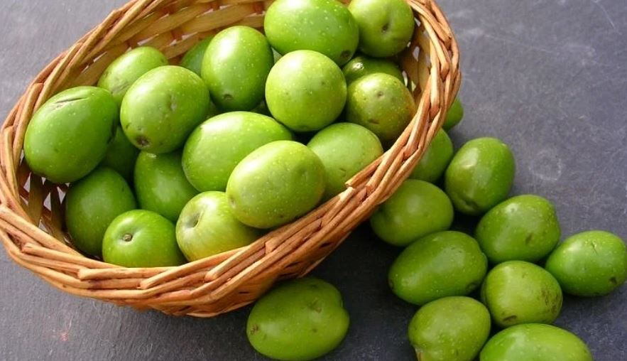 জলপাইয়ে সুস্বাদু মুরগির ঝোল, দেখে নিন আরও ৩ রেসিপি