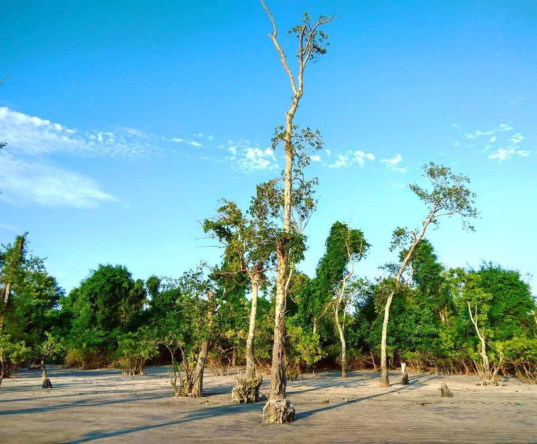 পটুয়াখালীর কোন কোন স্থান ঘুরে দেখবেন