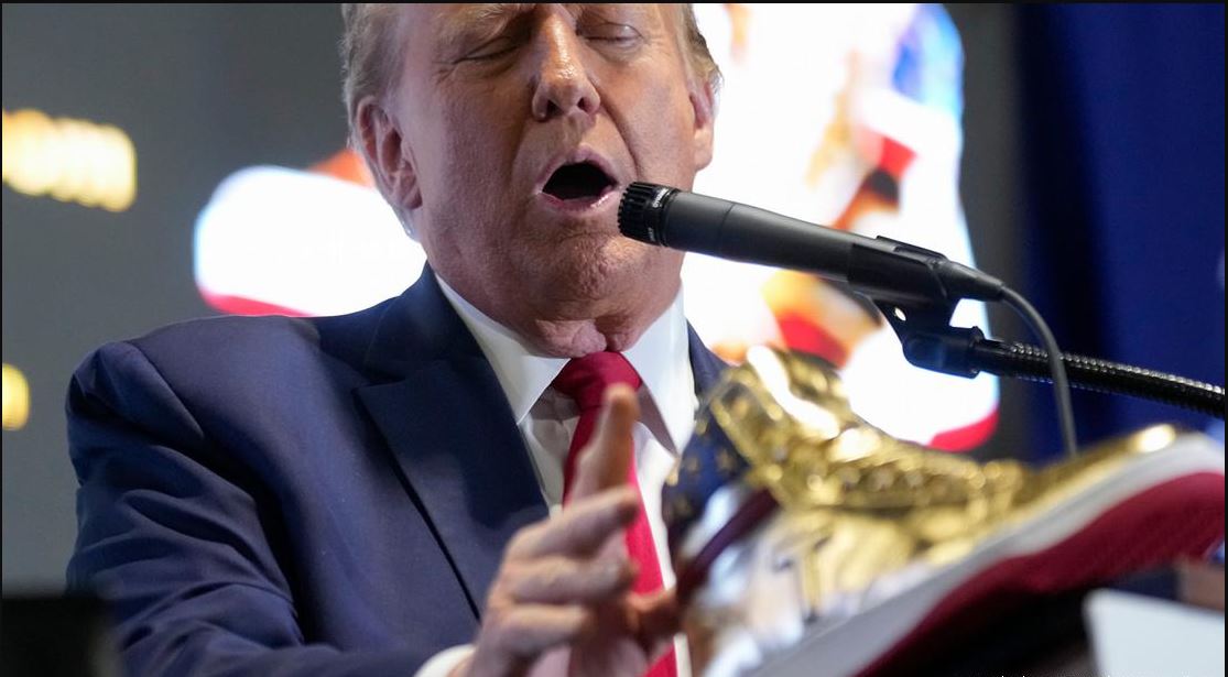 নির্বাচনী প্রচারণার মধ্যেই জুতার ব্যবসায় ট্রাম্প