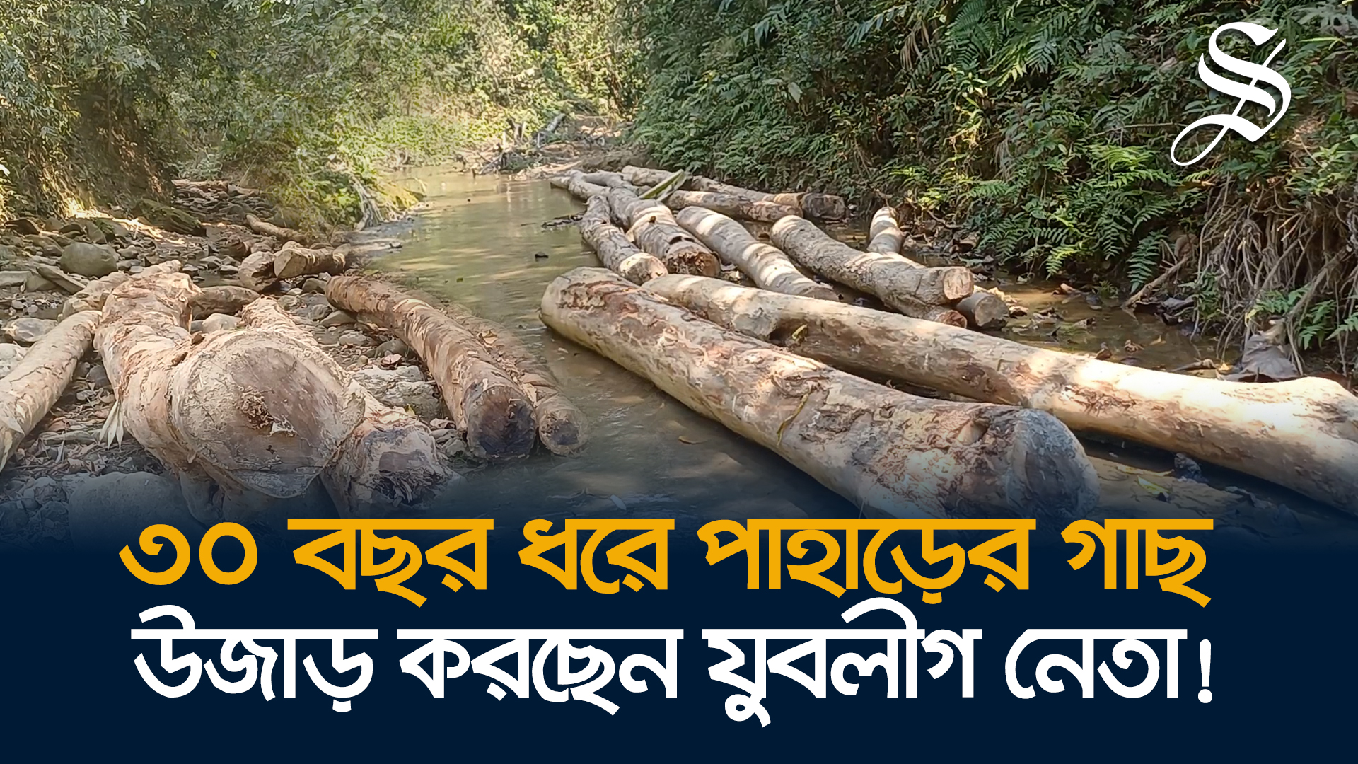 ১৫ কিলোমিটার পাহাড় কেটে গাছ পরিবহনে যুবলীগ নেতার রাস্তা!