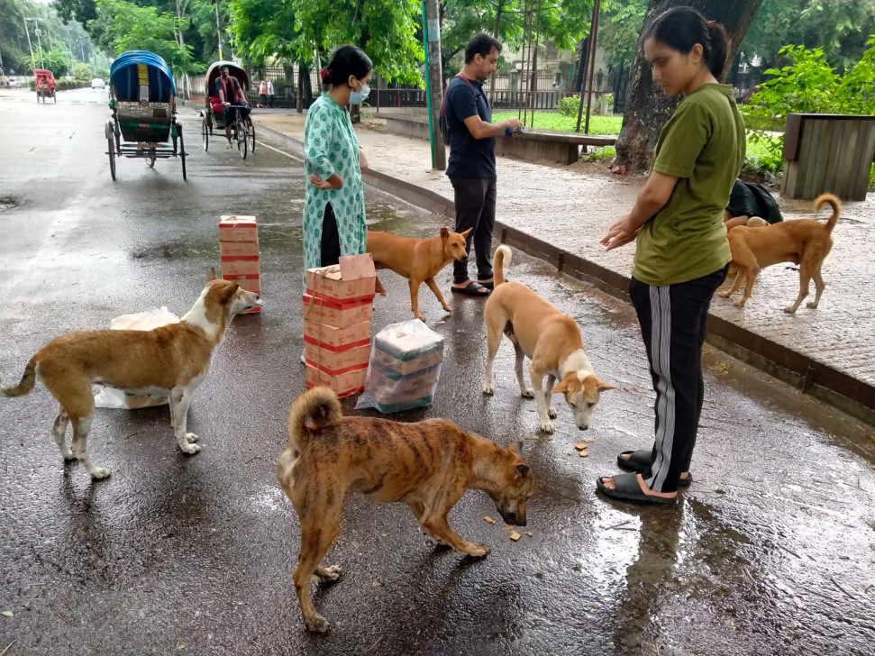 ‘কিকো’ ও তার বন্ধুরা যেভাবে আন্দোলনের অংশ হয়ে উঠল