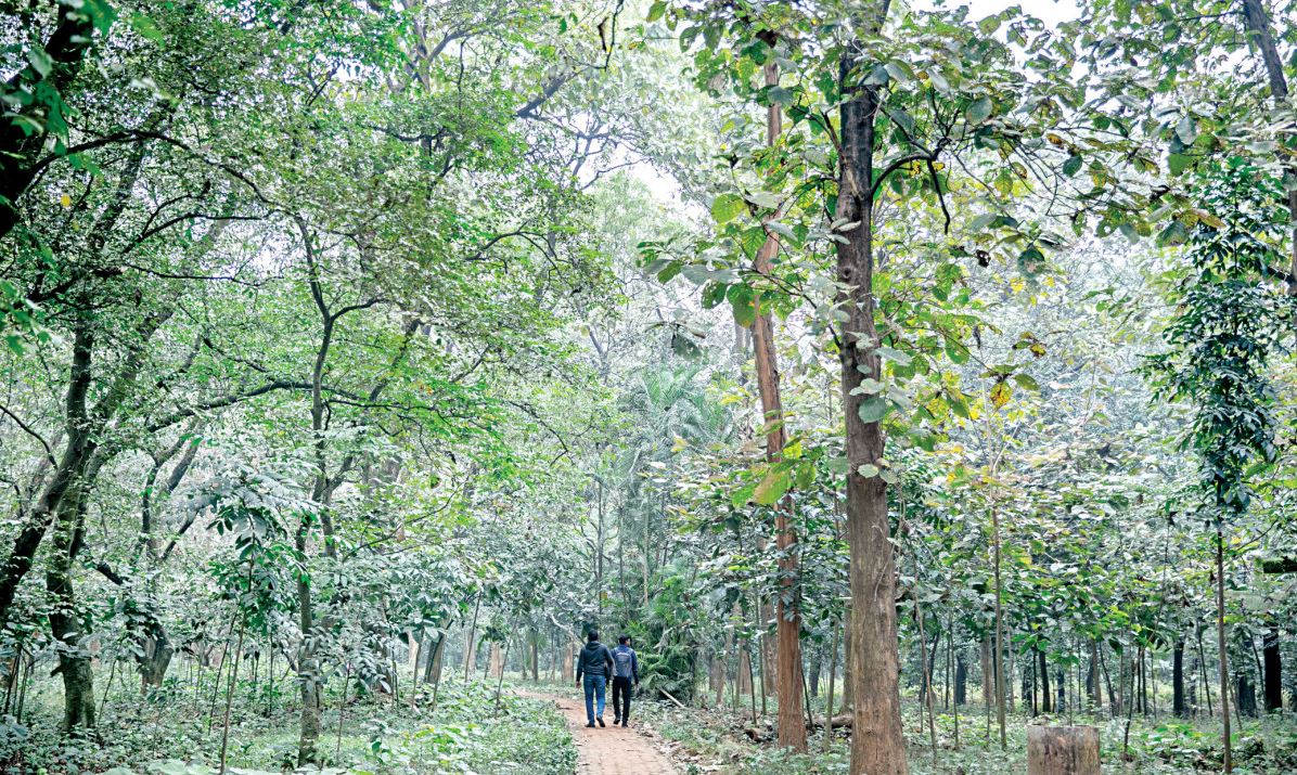 মিরপুরের এই জায়গাগুলো ঘুরে দেখেছেন কি