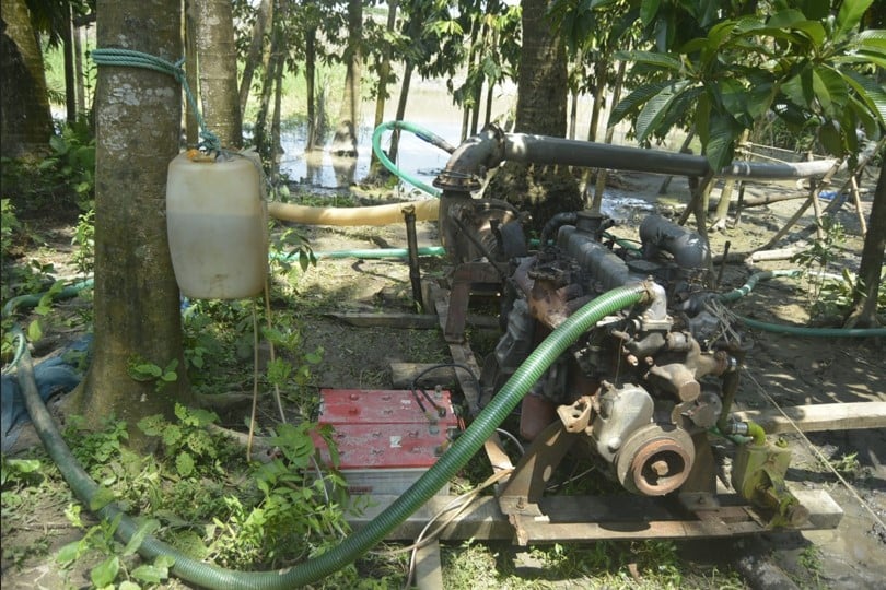 সড়ক নির্মাণে সংরক্ষিত বনের বালু উত্তোলন, হুমকিতে কুয়াকাটার সবুজ বেষ্টনী