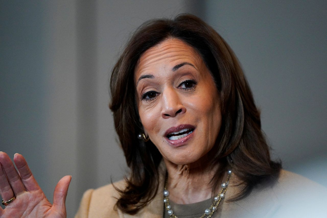 ইসরায়েল ও গাজা নিয়ে দুই রাজ্যে দু-ধরনের প্রচারণা কমলার