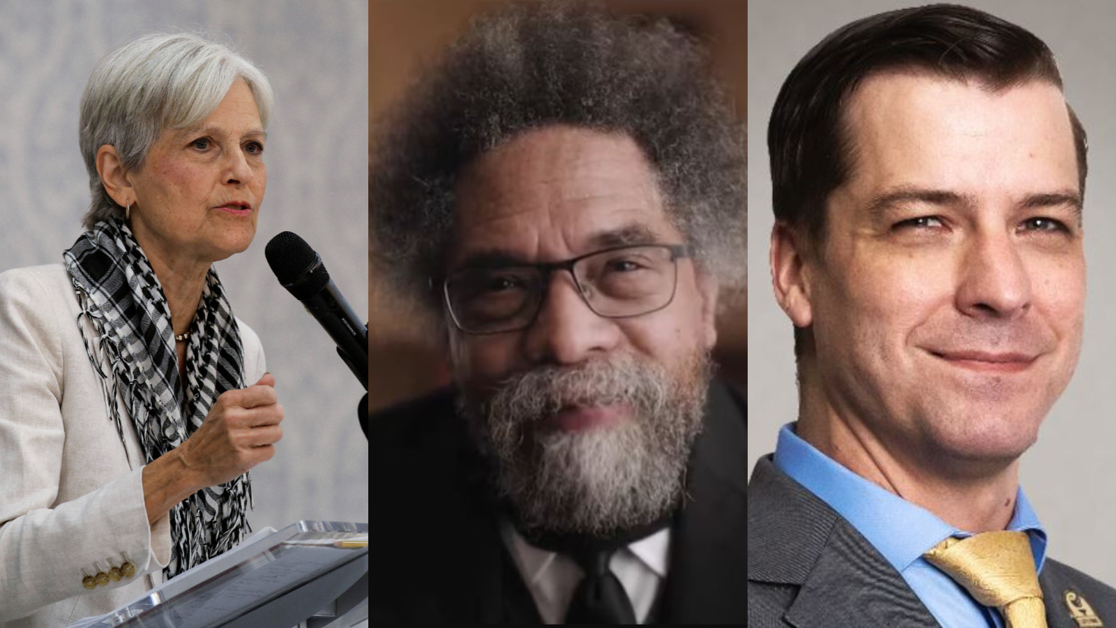 স্টেইন, অলিভার, ওয়েস্ট: মার্কিন নির্বাচনের ‘তৃতীয় শক্তি’