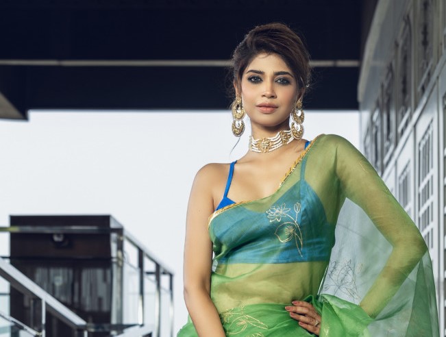 শাড়ির সৌন্দর্য বাড়াতে ব্লাউজের ৫ স্টাইল