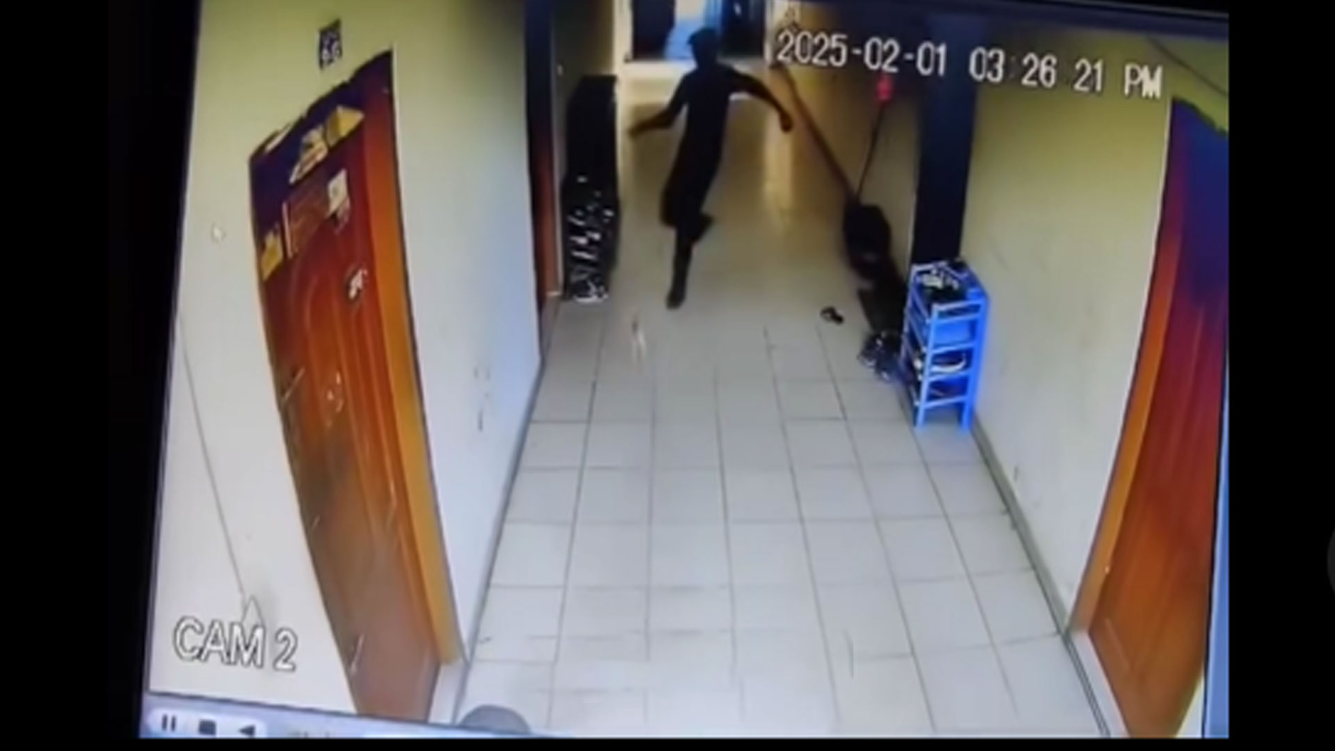 লাথি মেরে বিড়াল হত্যা: মোহাম্মদপুরের সেই যুবকের বিরুদ্ধে গ্রেপ্তারি পরোয়ানা