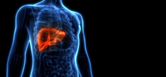 লিভার সিরোসিসের কারণ কী, লক্ষণ ও চিকিৎসা