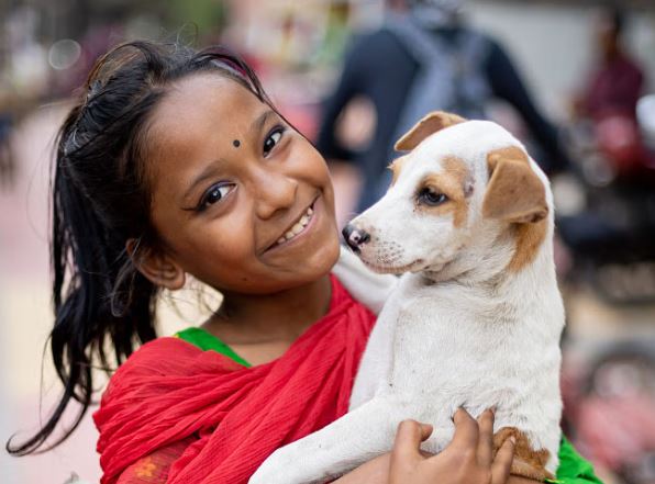 মানুষ কেন অবলা প্রাণীকে কষ্ট দেয়: মনস্তাত্ত্বিক ব্যাখ্যা