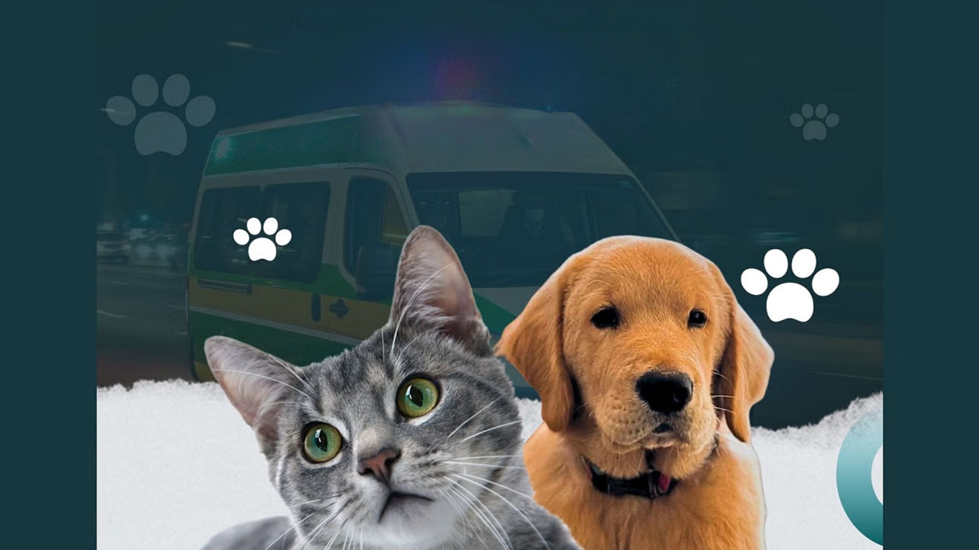 দেশে প্রথমবারের মতো পোষা প্রাণীর অ্যাম্বুলেন্স সেবা চালু