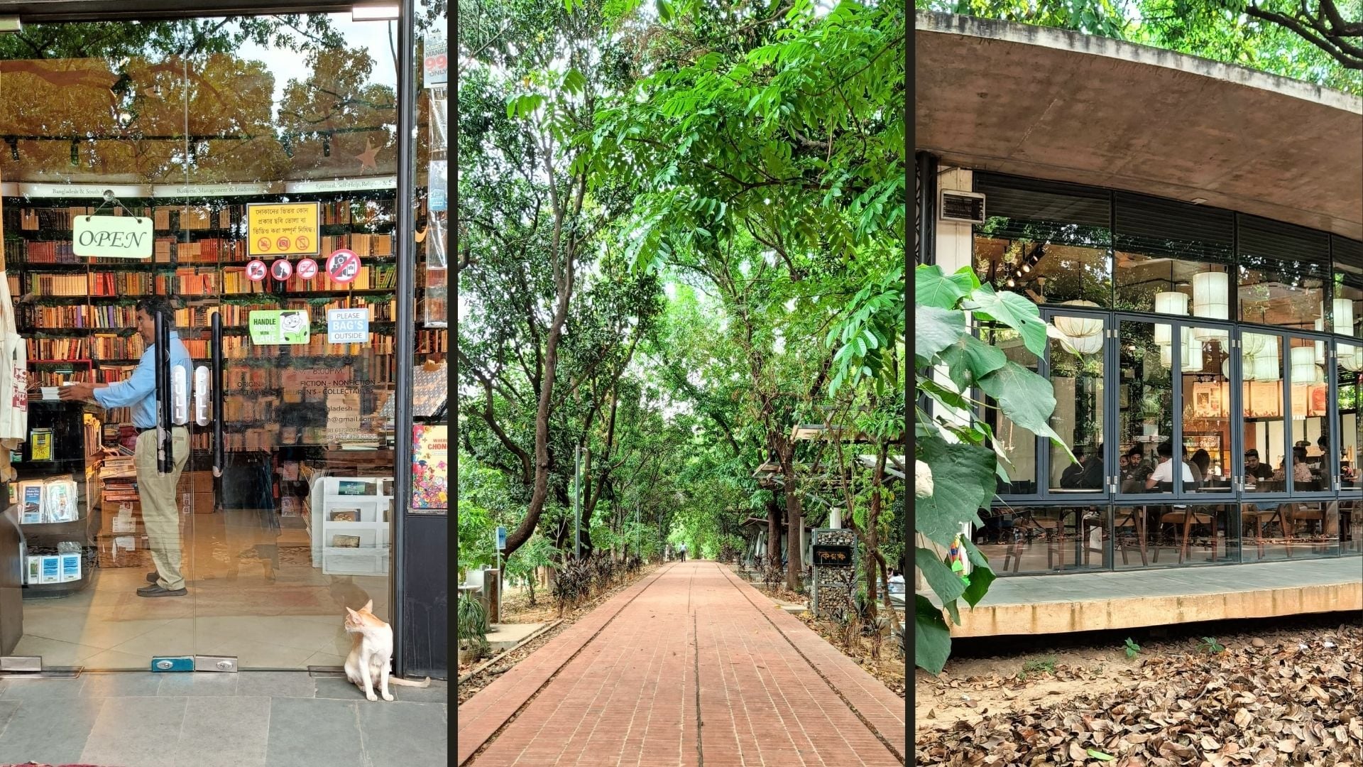 কেন যাবেন গুলশানের বিচারপতি সাহাবুদ্দীন আহমদ পার্কে