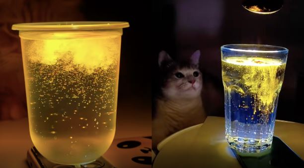 এক গ্লাস পানি আর হলুদ গুঁড়ো: অনলাইন দুনিয়ায় নতুন ট্রেন্ড