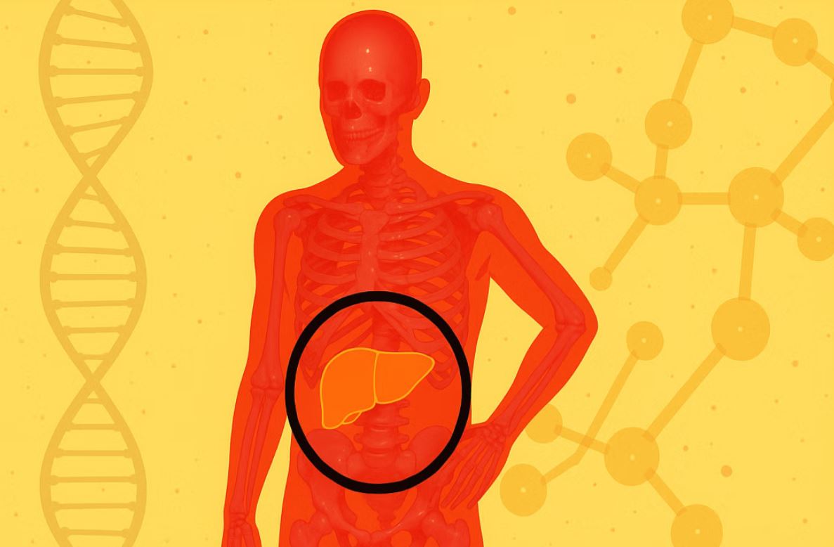 প্রাকৃতিকভাবে ফ্যাটি লিভার নিরাময়ে পুষ্টিবিদের টিপস