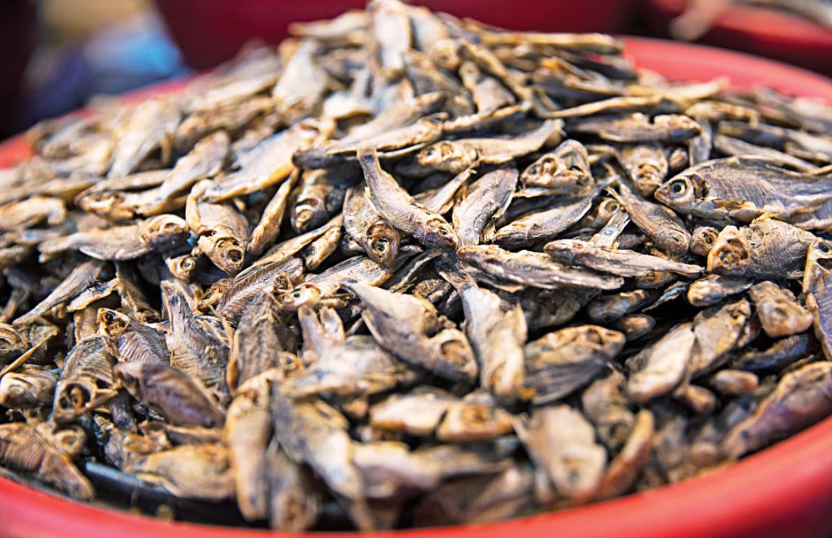 শুঁটকি খাওয়া কি ক্ষতিকর?