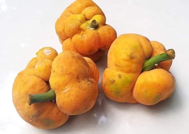 দেশি ফল ডেউয়ার যত গুণাগুণ