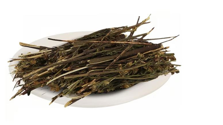 চিরতার যত উপকারিতা, কীভাবে খাবেন