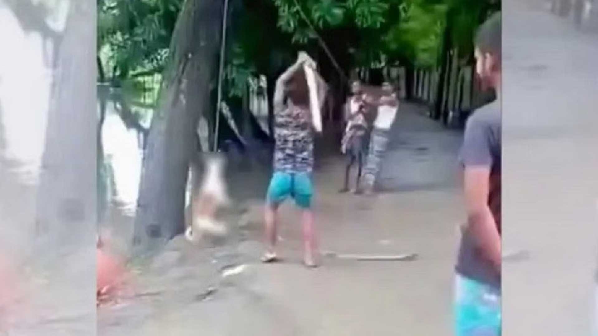 কুকুরকে পিটিয়ে হত্যা: আইনে শাস্তি কী