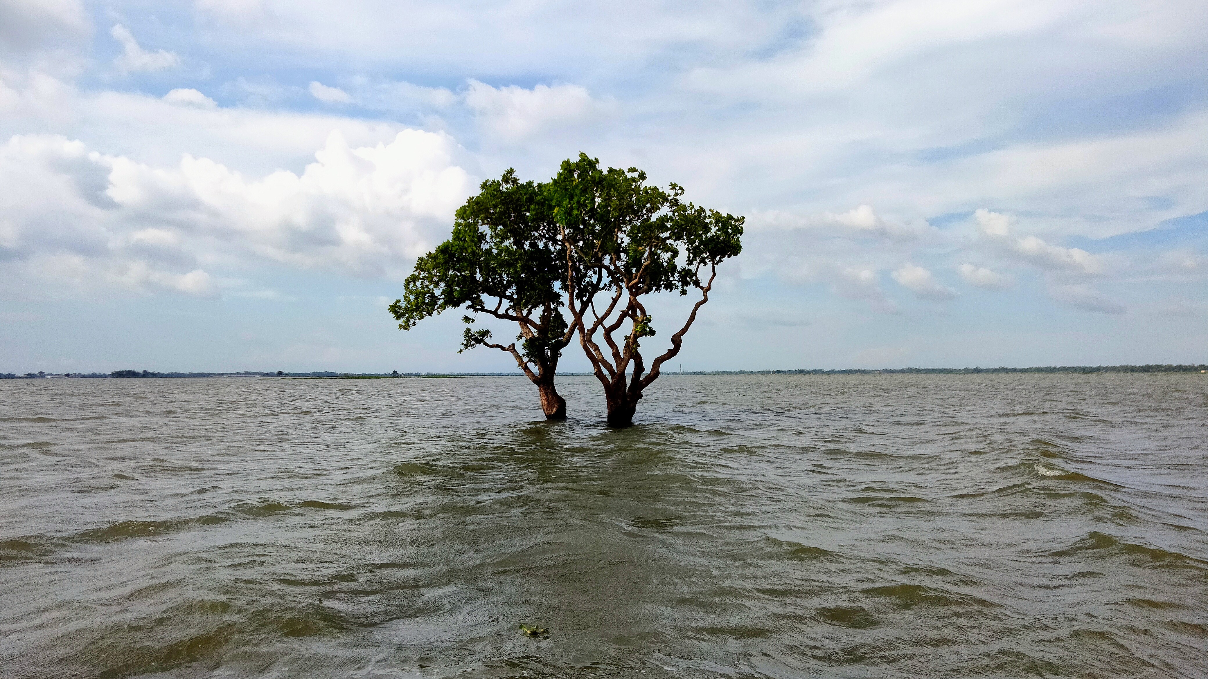 নওগাঁর হাঁসাইগাড়ী বিল: কৃষকবিদ্রোহ থেকে মিনি কক্সবাজারের যাত্রা