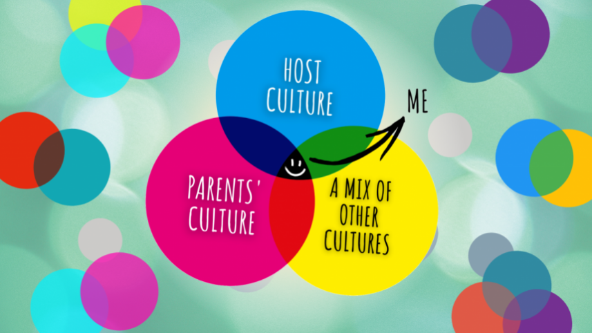 third_culture_kid_venn.png