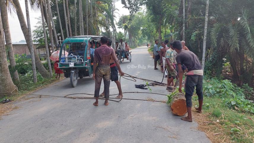 গাছ কাটা.jpg