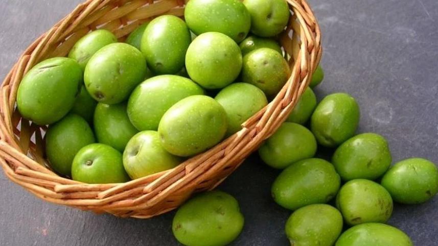 জলপাইয়ের রেসিপি