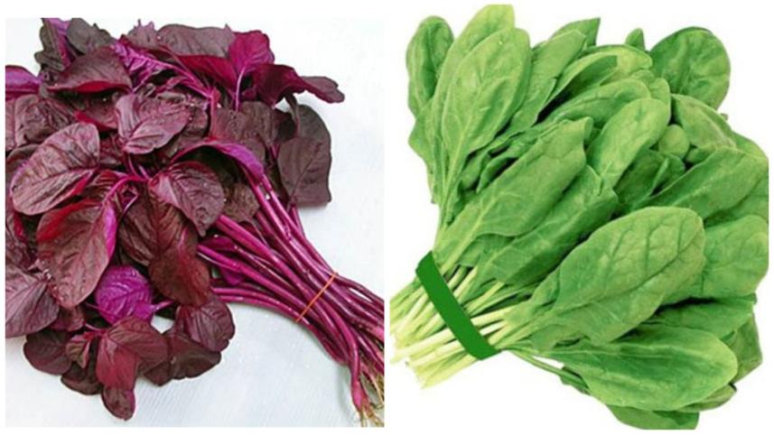 লালশাক ও পালংশাকের পুষ্টিগুণ 