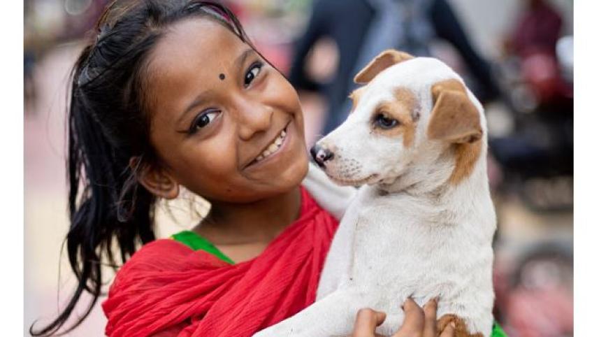 শীতে কুকুরের যত্ন