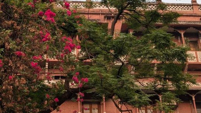 বাগানবিলাস