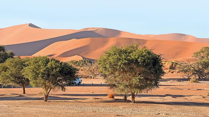 মরুদ্যান