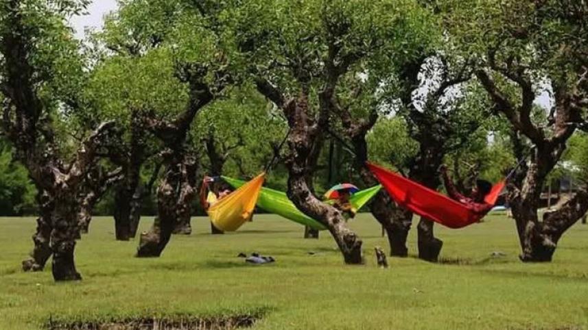 বরগুনার নিদ্রা সৈকত