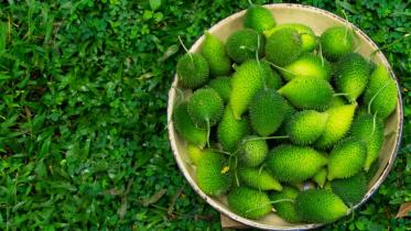 কাঁকরোল