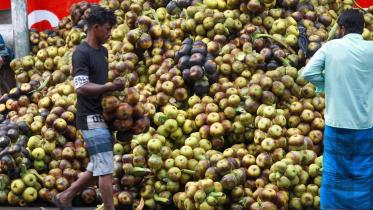 তালশাঁসের উপকারিতা