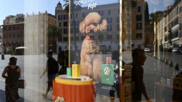 ডলচে অ্যান্ড গাবানা